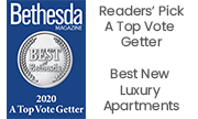 2020 Top Vote Getter Award